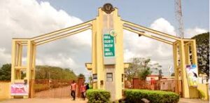 Fce Abeokuta Whatsapp Group 191