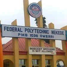 nekede poly second choice