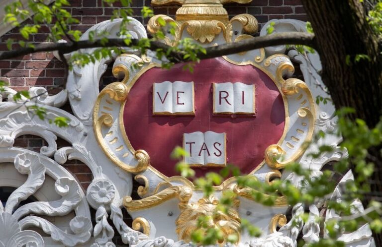 Navigating the Path to Harvard: