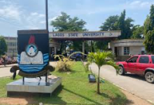 Courses Offered in LASU