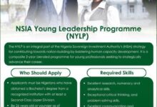 NSIA Young Leadership Programme 2025